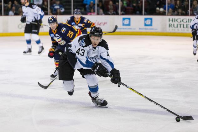 Idaho Steelheads Defenseman Shane Hanna