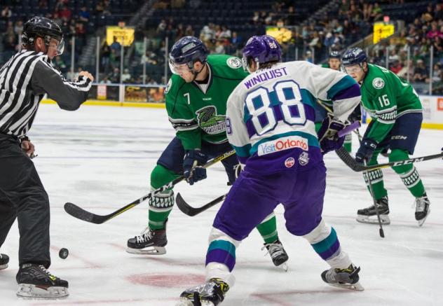 Florida Everblades face off with the Orlando Solar Bears