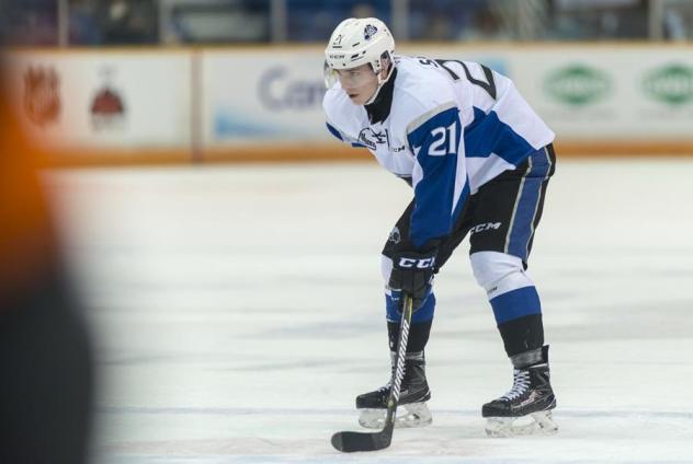 Saint John Sea Dogs Defenseman Radim Salda