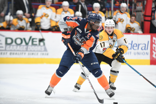 Flint Firebirds vs. the Sarnia Sting