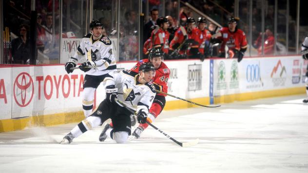 Wheeling Nailers vs. the Adirondack Thunder