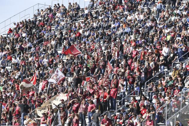 Sacramento Republic FC fans watch preseason action against Los Angeles Football Club