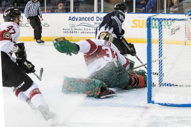 Idaho Steelheads in action