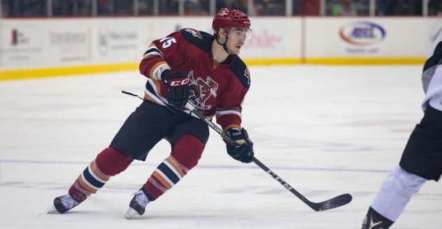 Tucson Roadrunners Forward Laurent Dauphin