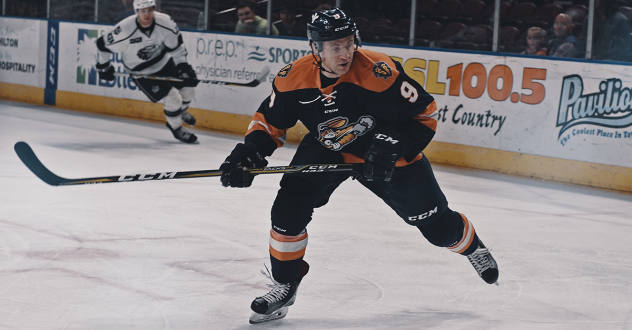 Greenville Swamp Rabbits Forward Shane Walsh