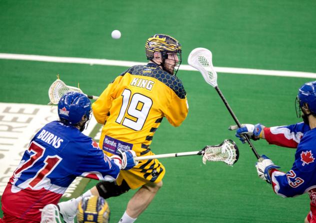 Jesse King of the Georgia Swarm