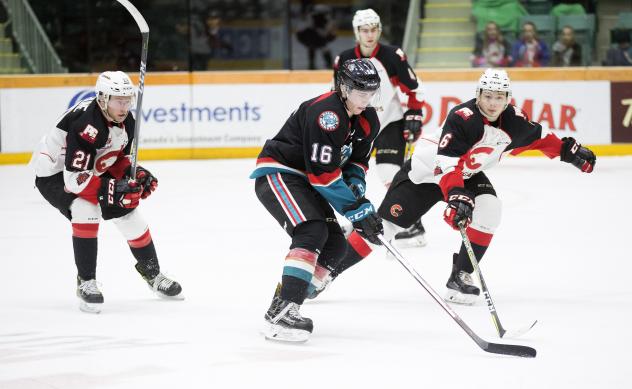 Kelowna Rockets vs. the Prince George Cougars