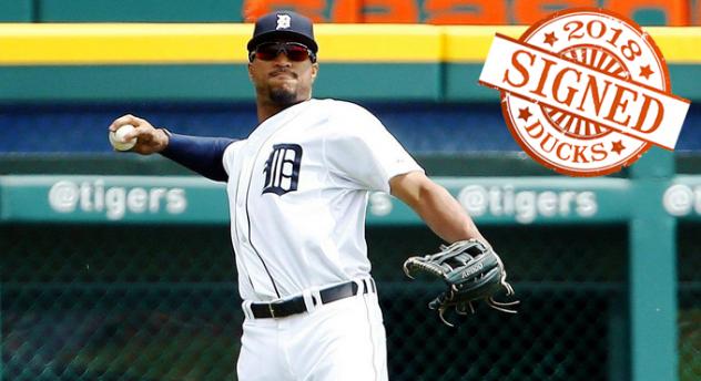 Outfielder Daniel Fields with the Detroit Tigers