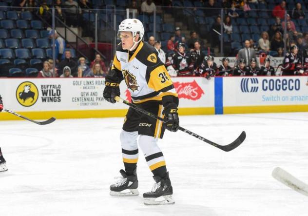 Hamilton Bulldogs Right Wing Arthur Kaliyev