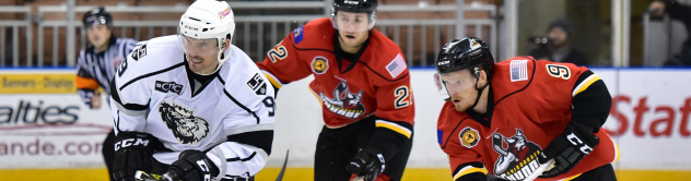 Manchester Monarchs Forward Kevin Morris vs. the Adirondack Thunder