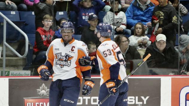 The Flint Firebirds offer congratulations on a goal at Guelph