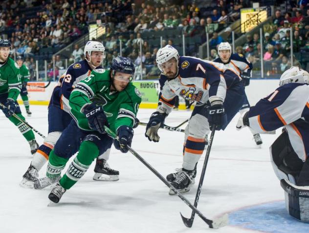 Florida Everblades Forward Mitchell Heard confounds the Greenville Swamp Rabbits