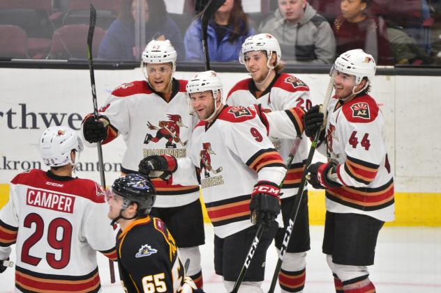 Tucson Roadrunners celebrate a goal