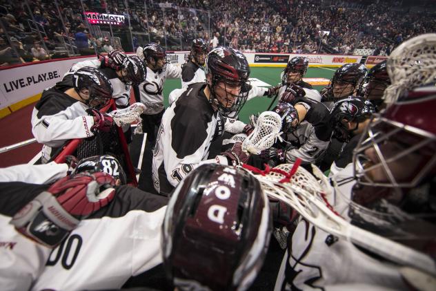 Colorado Mammoth Huddle
