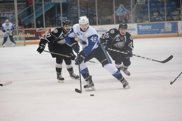 Ostap Safin of the Saint John Sea Dogs vs. the Charlottetown Islanders