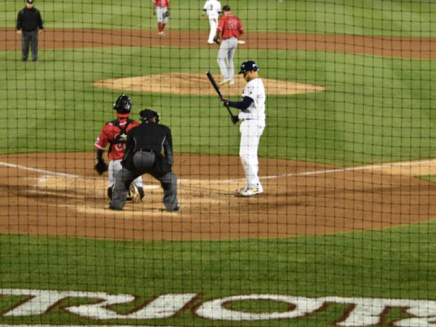 Protective Netting at TD Bank Ballpark