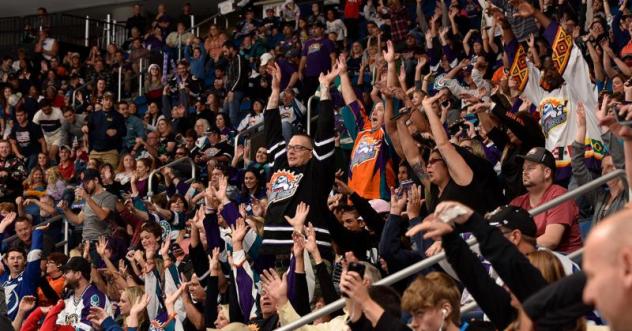 Orlando Solar Bears fans enjoy the game