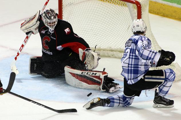 Prince George Cougars vs. the Victoria Royals