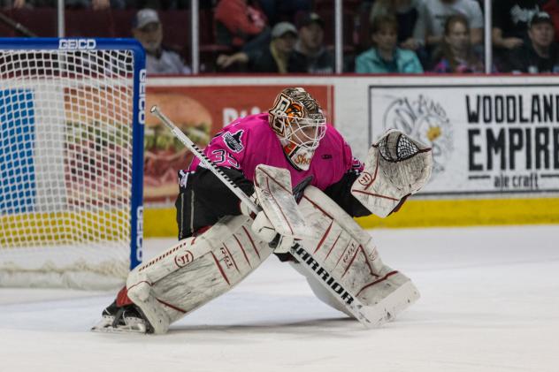 Idaho Steelheads Goaltender Tomas Sholl