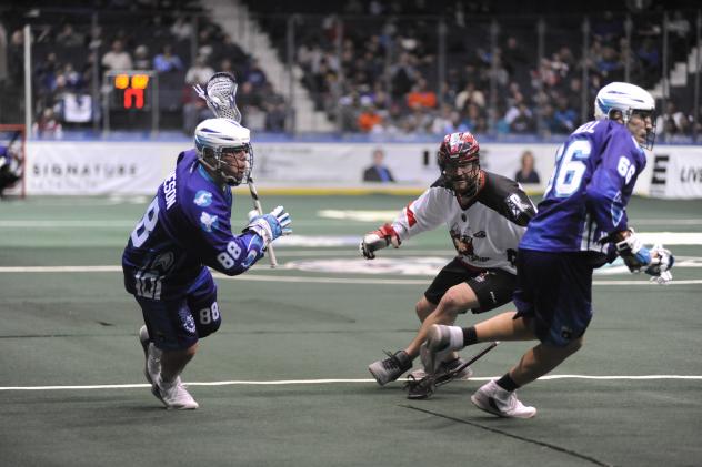 Cody Jamieson of the Rochester Knighthawks vs. the Calgary Roughnecks