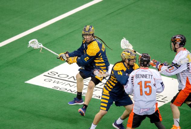 Georgia Swarm Forward Miles Thompson vs. the Buffalo Bandits