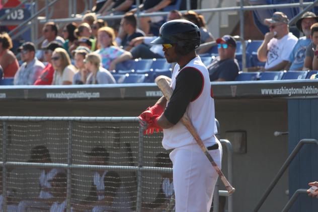 Washington Wild Things Outfielder James Harris