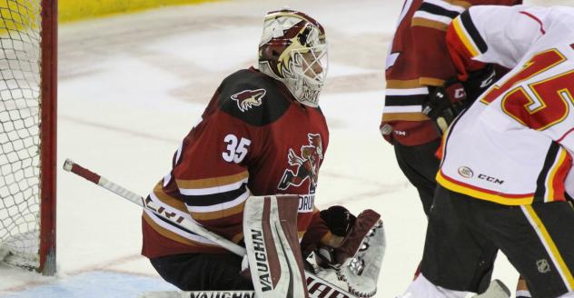 Tucson Roadrunners Goaltender Hunter Miska