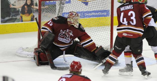 Tucson Roadrunners Goaltender Adin Hill stops a Stockton Heat shot