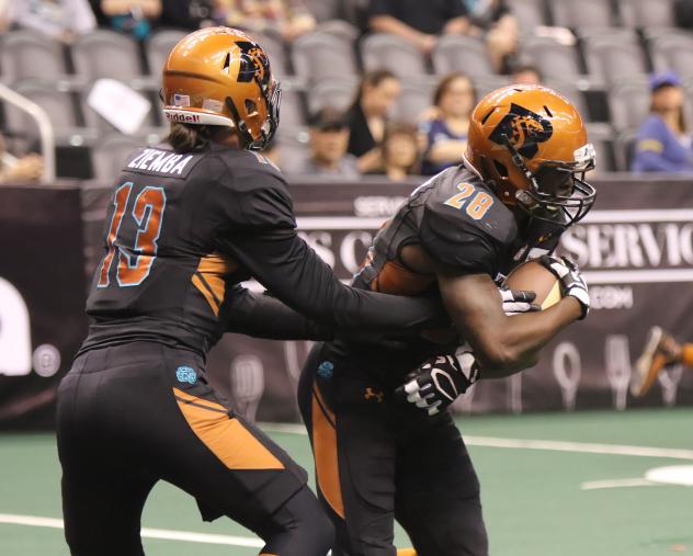 Arizona Rattlers handoff