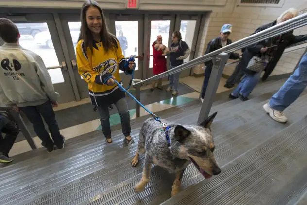 Fans arrive for Milwaukee Admirals' Purina Dog Day Afternoon