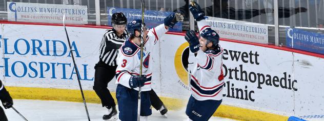 South Carolina Stingrays celebrate a goal