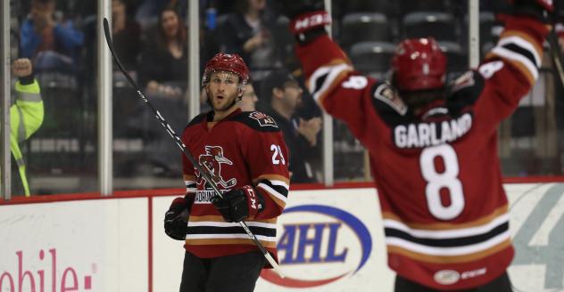 Tucson Roadrunners celebrate a goal