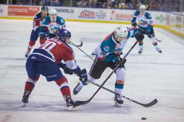 Kelowna Rockets race to the puck vs. the Tri-City Americans