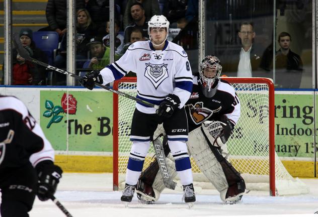 Vancouver Giants Goaltender Trent Miner peeks around the Victoria Royals