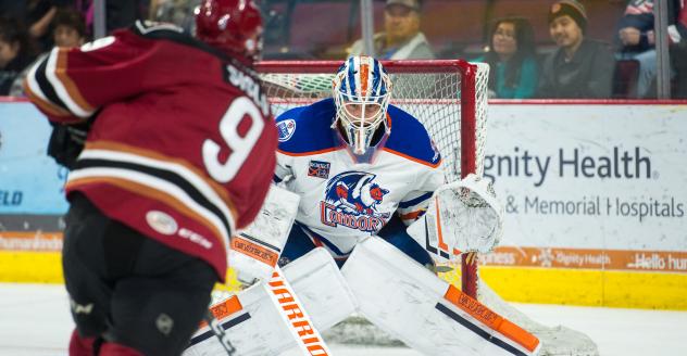 Tucson Roadrunners Forward Mike Sislo takes a shot vs. the Bakersfield Condors