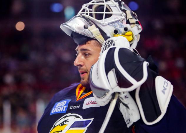 Colorado Eagles Goaltender Joe Cannata