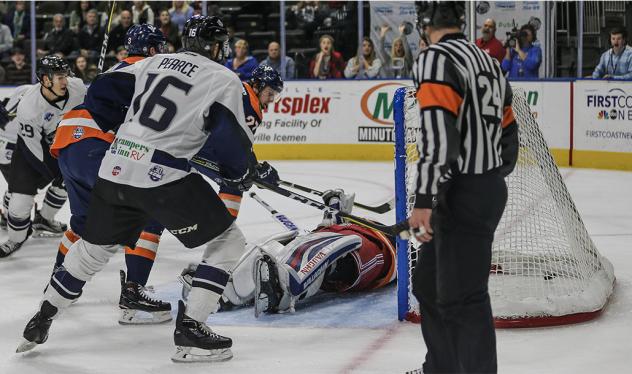 Jacksonville IceMen vs. the Greenville Swamp Rabbits