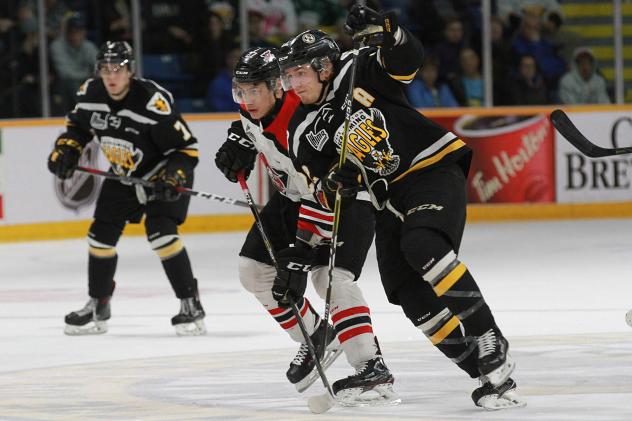 Cape Breton Screaming Eagles vs. the Drummondville Voltigeurs