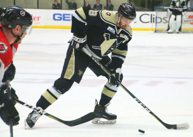 Wheeling Nailers vs. the Cincinnati Cyclones