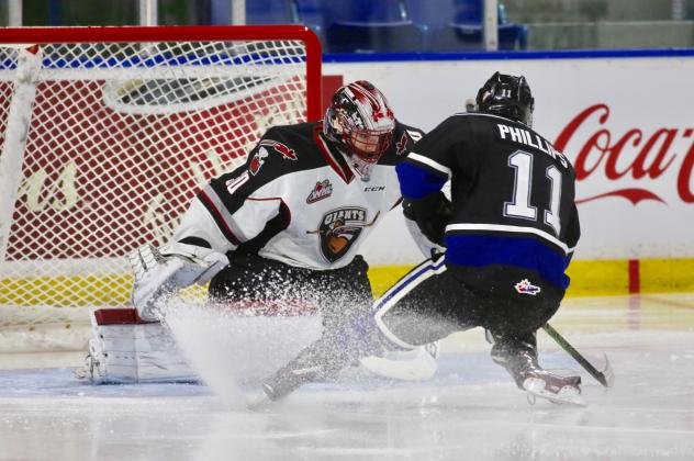 Vancouver Giants Goaltender David Tendeck vs. Victoria Royals' Matthew Phillips