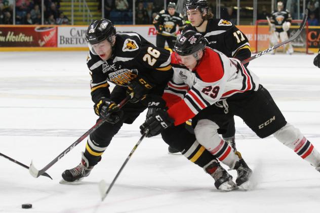 Cape Breton Sreaming Eagles vs. the Drummondville Voltigeurs
