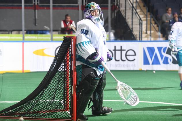 Rochester Knighthawks Goalie Matt Vinc