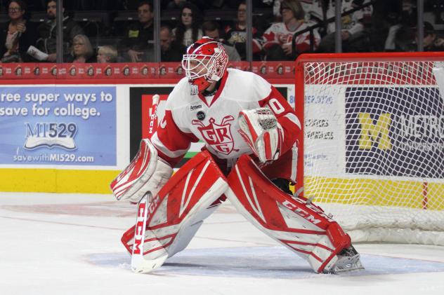 Grand Rapids Griffins Goaltender Tom McCollum in net