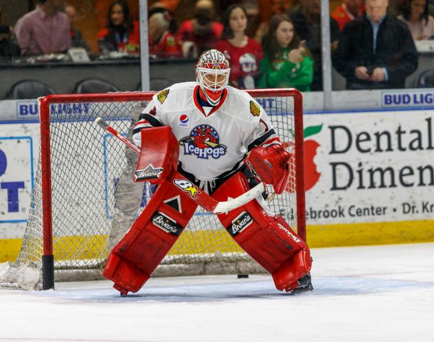 Rockford IceHogs Goaltender Collin Delia