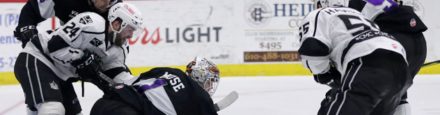 Manchester Monarchs vs. the Reading Royals