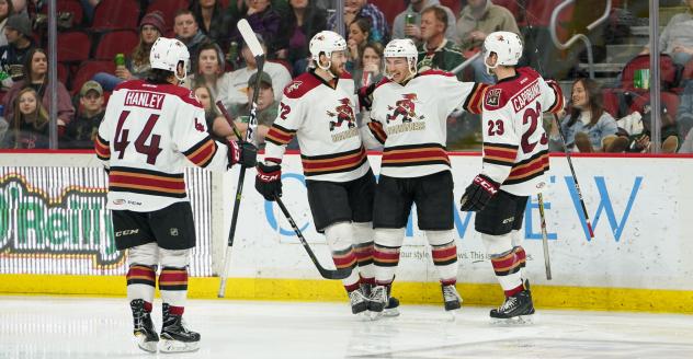 Tucson Roadrunners celebrate a goal