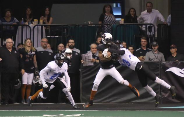 The Arizona Rattlers score against the Cedar Rapids Titans