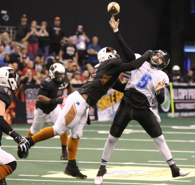 The Arizona Rattlers get to Cedar Rapids Titans Quarterback Jake Medlock