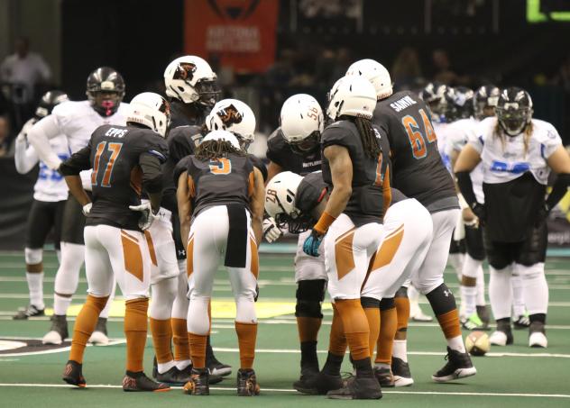 Arizona Rattlers huddle