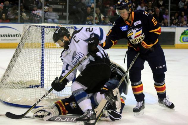 Idaho Steelheads Forward Jefferson Dahl crashes the net vs. the Colorado Eagles